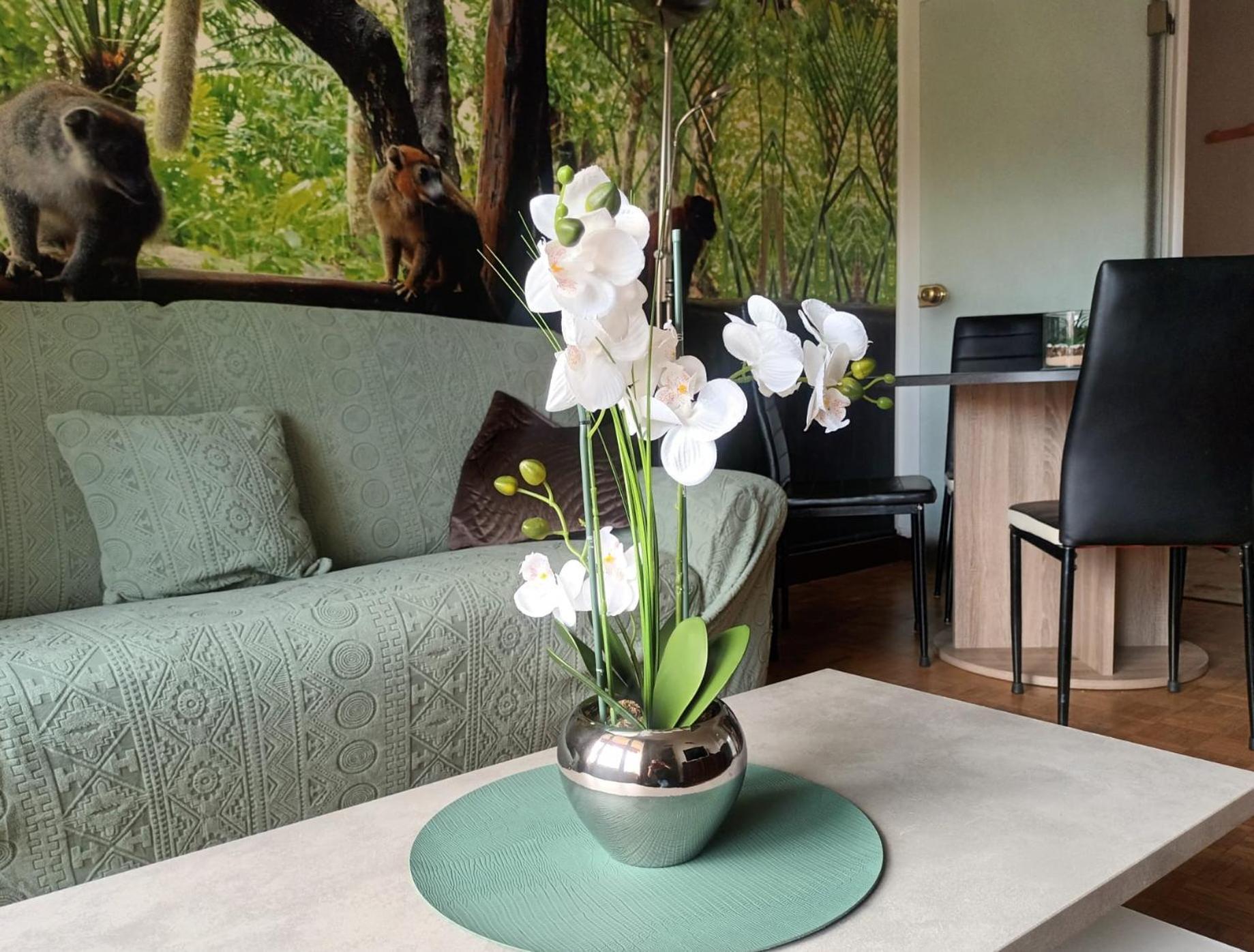 Appartement Escapade Nature Анси Екстериор снимка