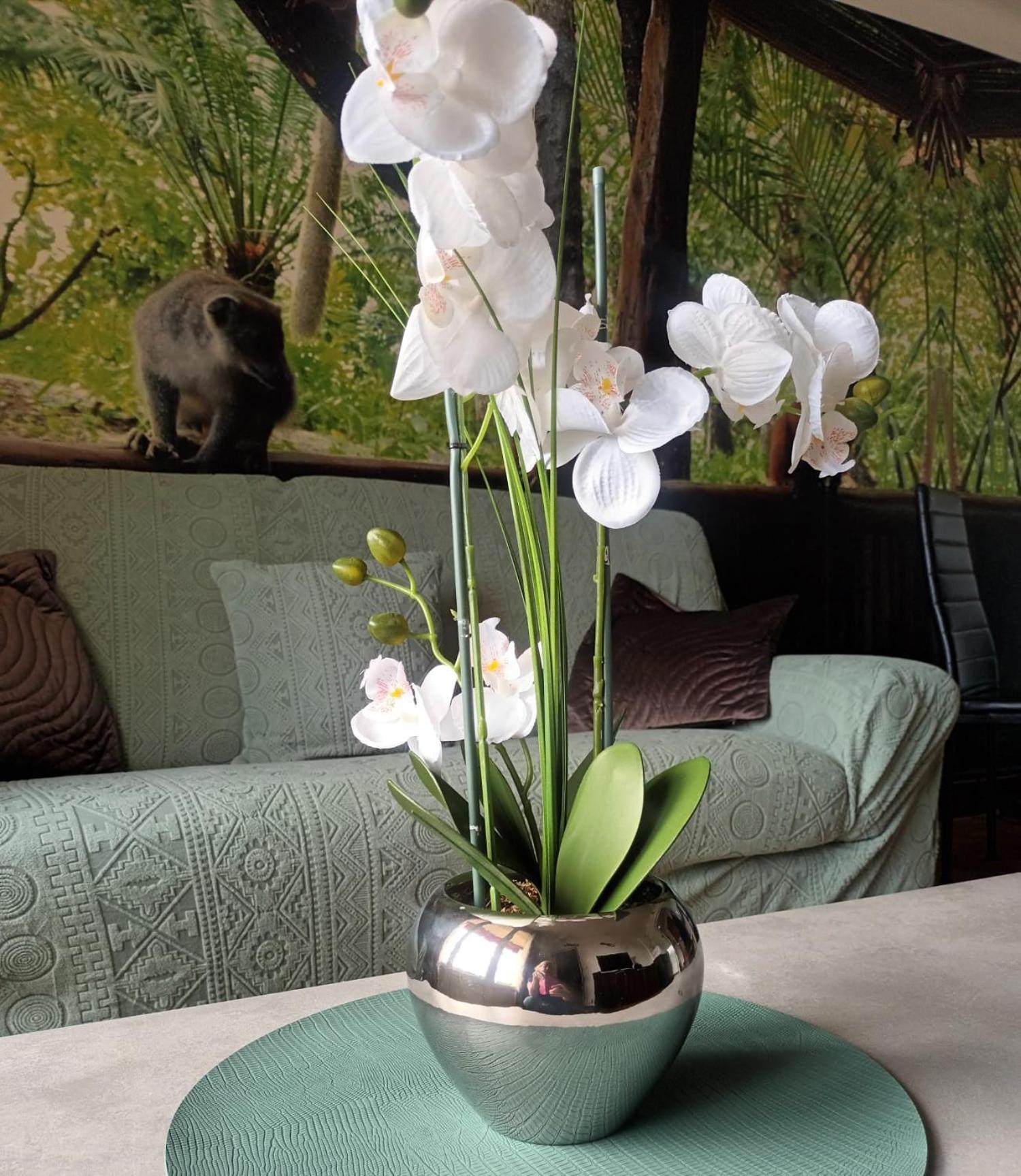 Appartement Escapade Nature Анси Екстериор снимка