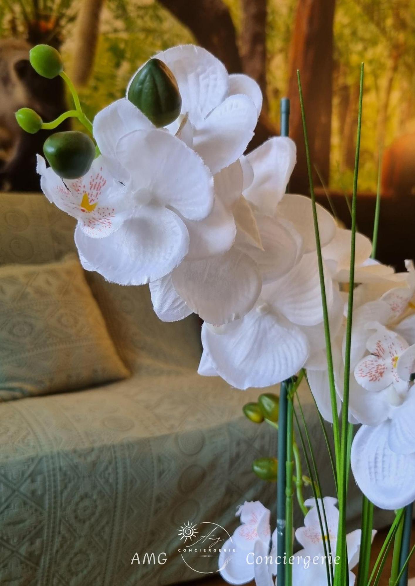 Appartement Escapade Nature Анси Екстериор снимка